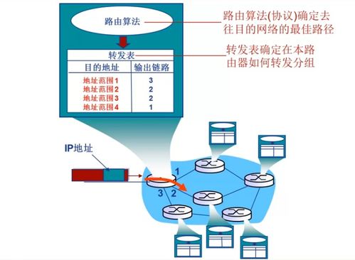 計算機網(wǎng)絡(luò)網(wǎng)絡(luò)層之路由算法概述